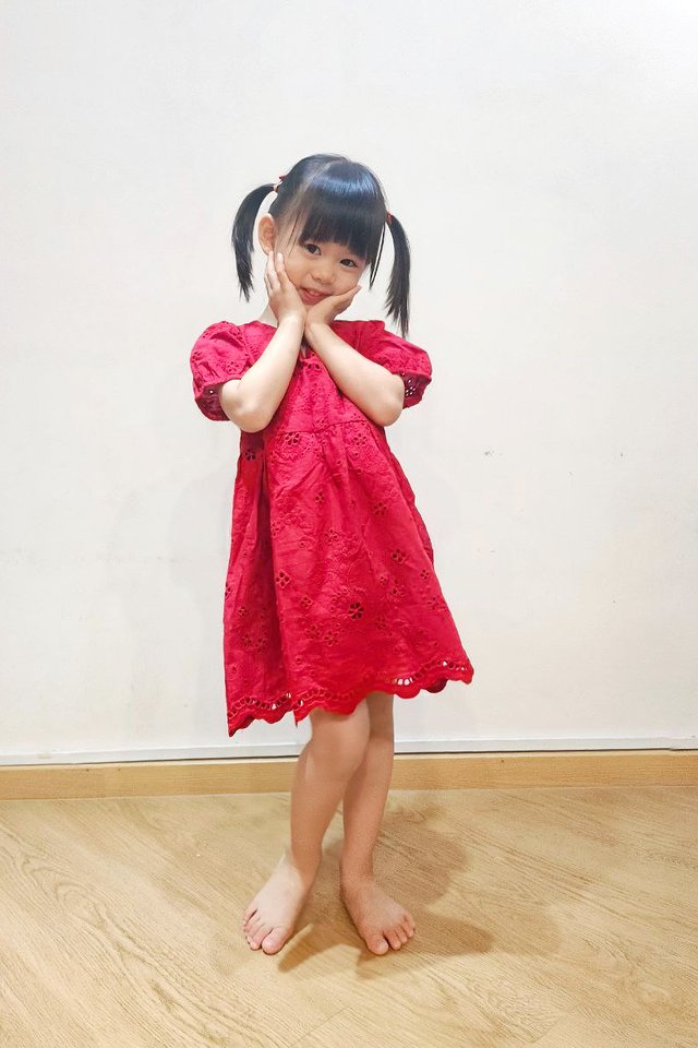 Florence Eyelet V-Neck Girls' Dress in Red
