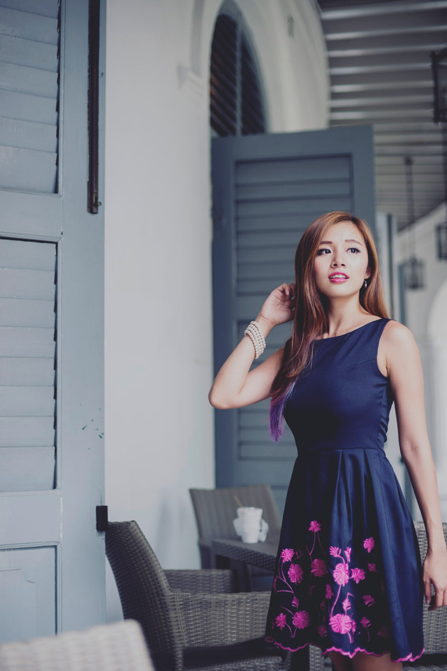 Dandelions Embroidery Dress in Deep Navy