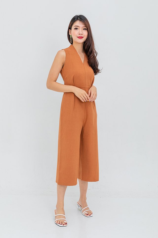 Boardroom Classic Jumpsuit in Brown