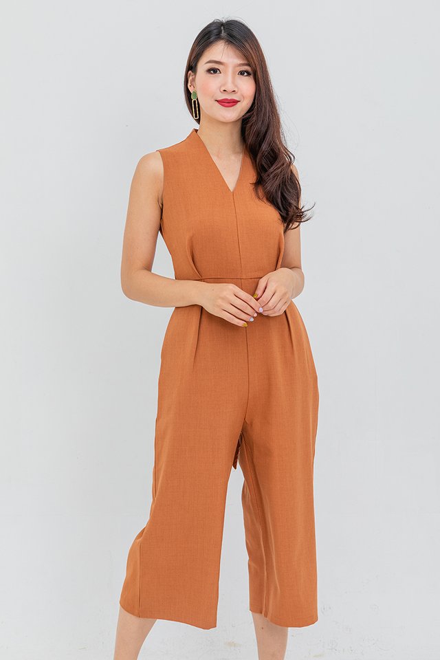 Boardroom Classic Jumpsuit in Brown